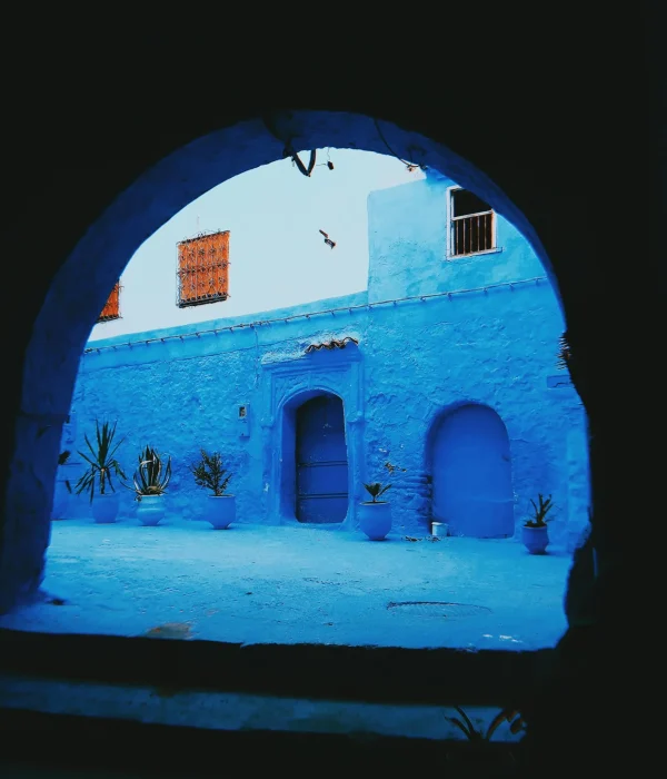 pexels-samiro-2215787